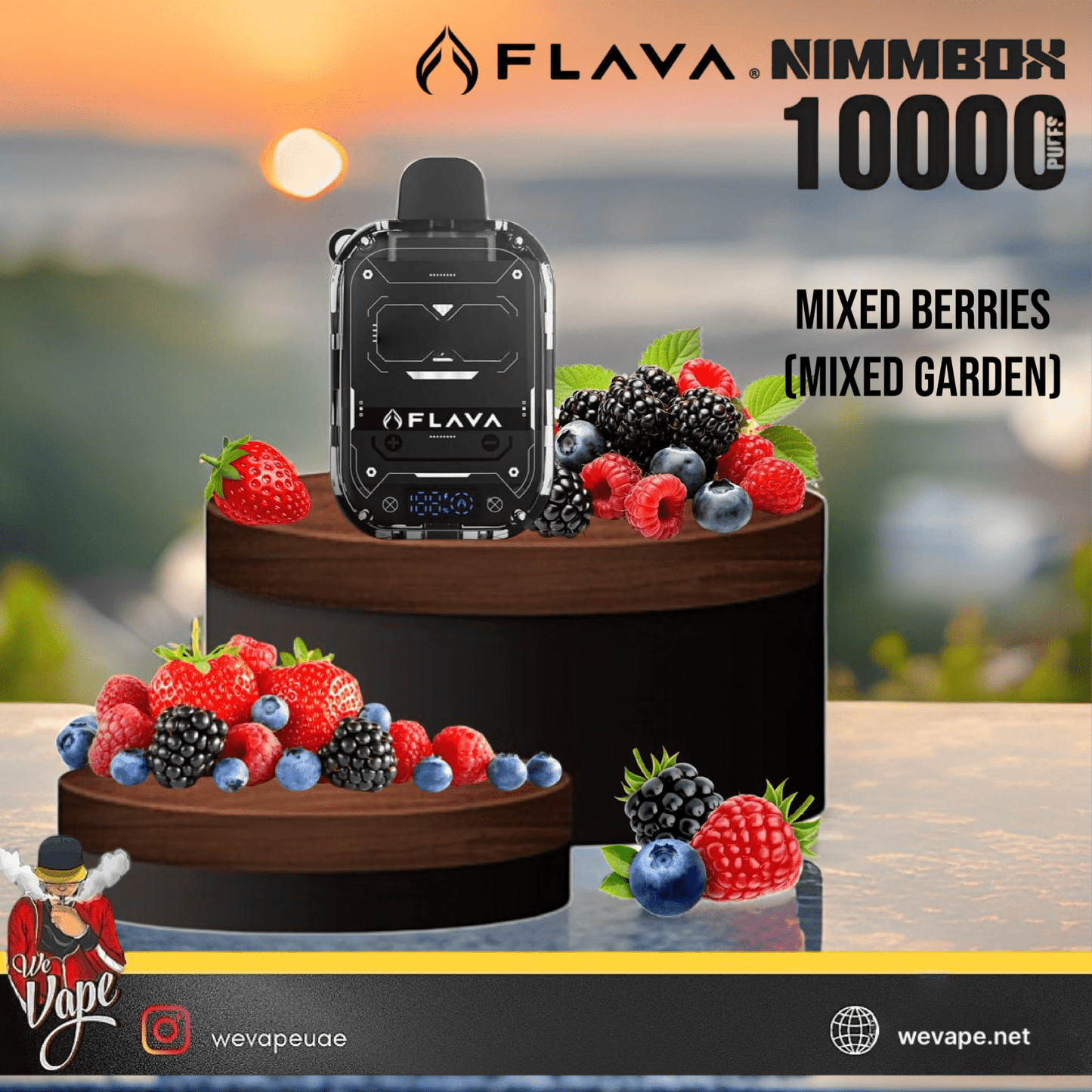Flava Nimmbox 10000 Puffs Disposable Vape Pod – Rechargeable, Mesh Coil - We Vape