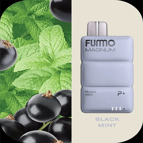 FUMMO MAGNUM 8000 PUFFS By FUMMO (20MG) - We Vape