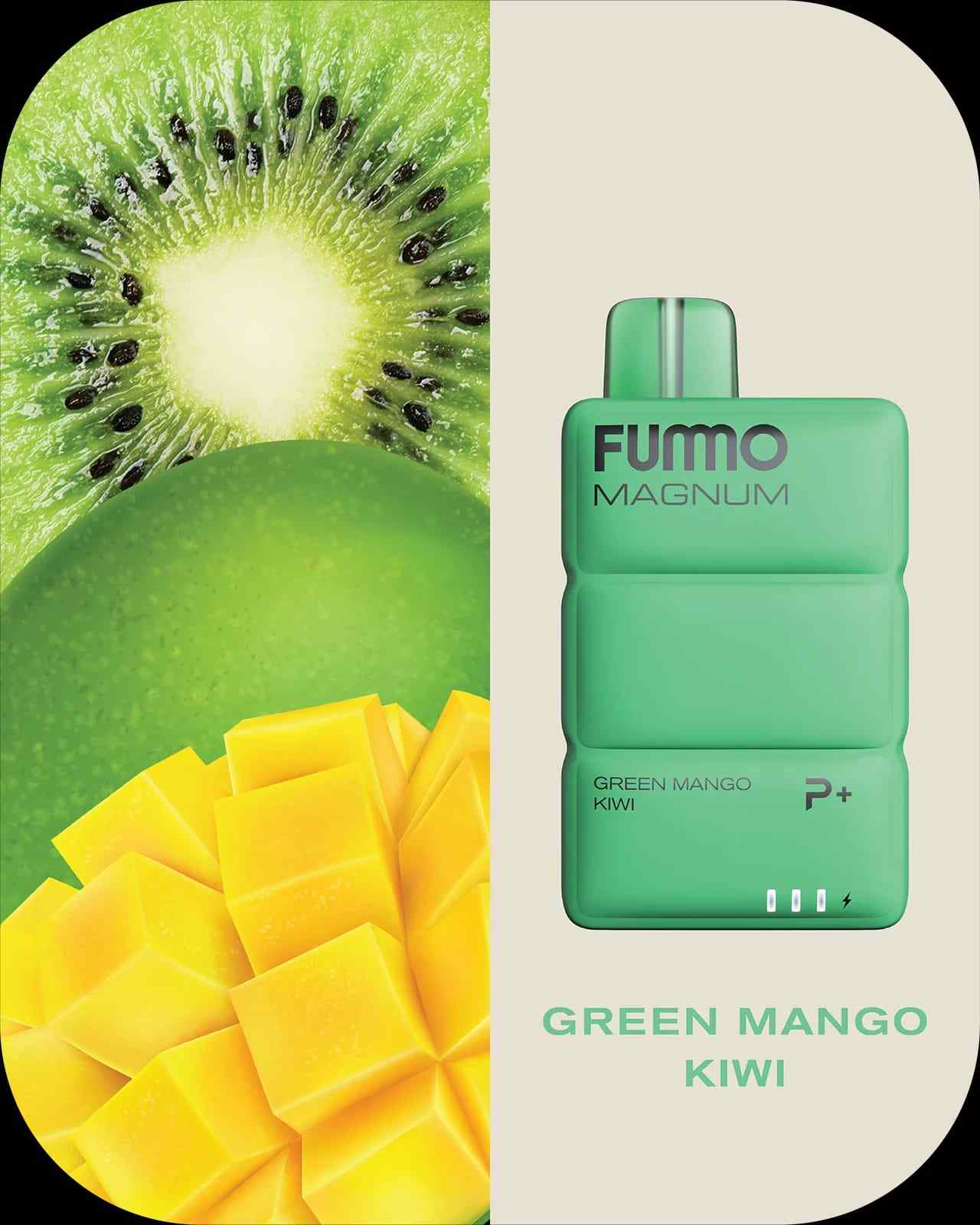 FUMMO MAGNUM 8000 PUFFS By FUMMO (20MG) - We Vape