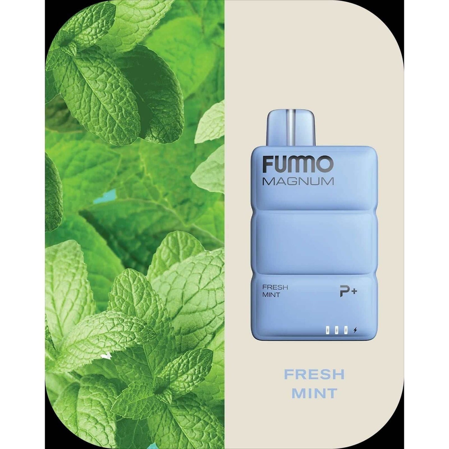 FUMMO MAGNUM 8000 PUFFS By FUMMO (20MG) - We Vape