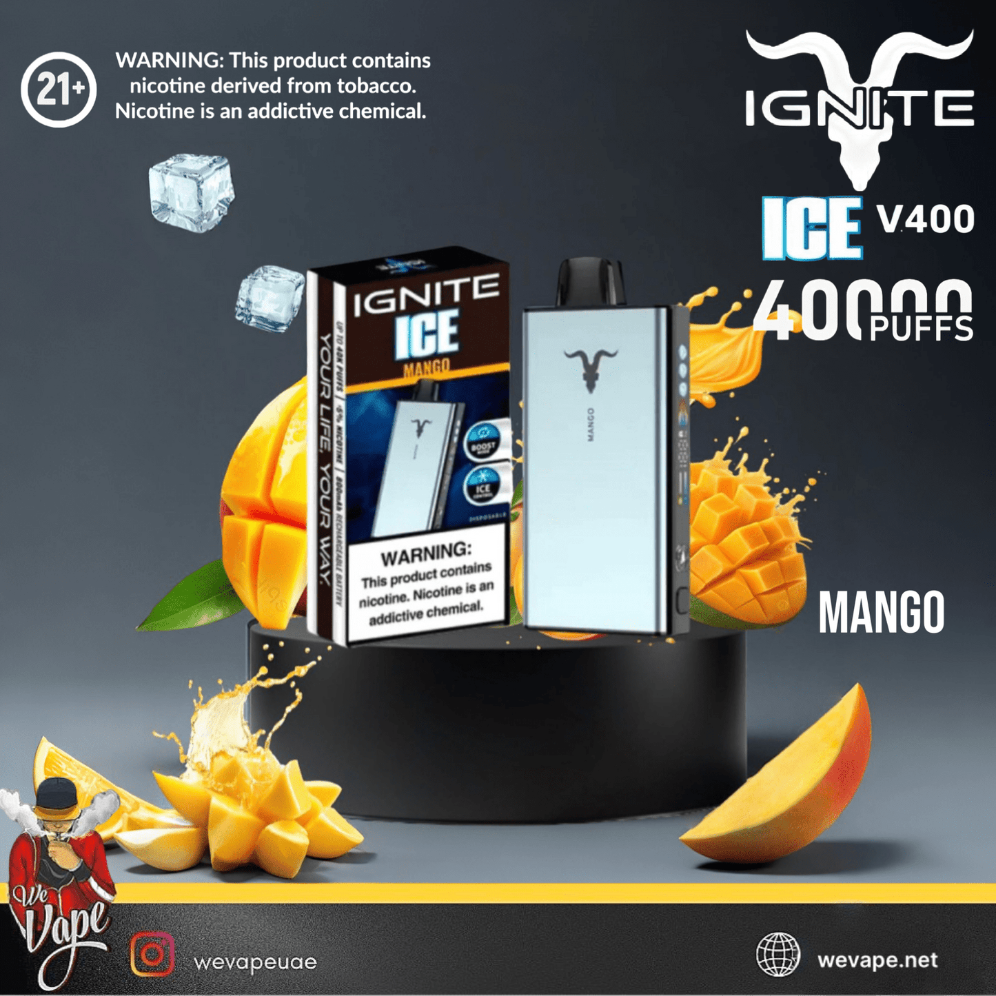 IGNITE ICE 40K Disposable Vape Kit – 40,000 Puffs 50MG - We Vape