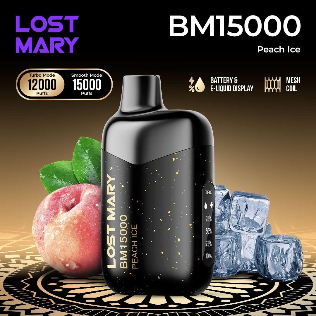 LOST MARY BM15000 Puffs Disposable Pod – High - Capacity Mesh Coil Rechargeable Vape - We Vape