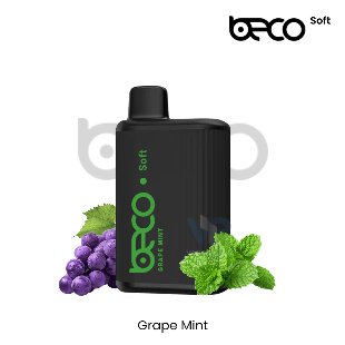 VAPTIO – Beco Soft 6000 Puffs Disposable Vape | Smooth Draw & Rich Flavor - We Vape