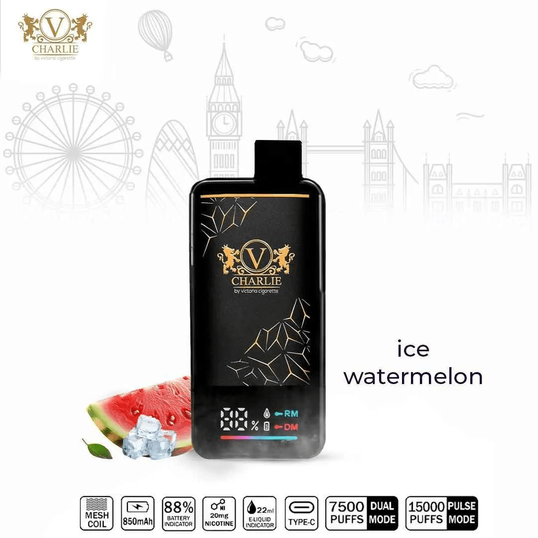 Vicig Charlie 15,000 Puffs Disposable Pod – High - Nicotine Long - Lasting Vape - We Vape