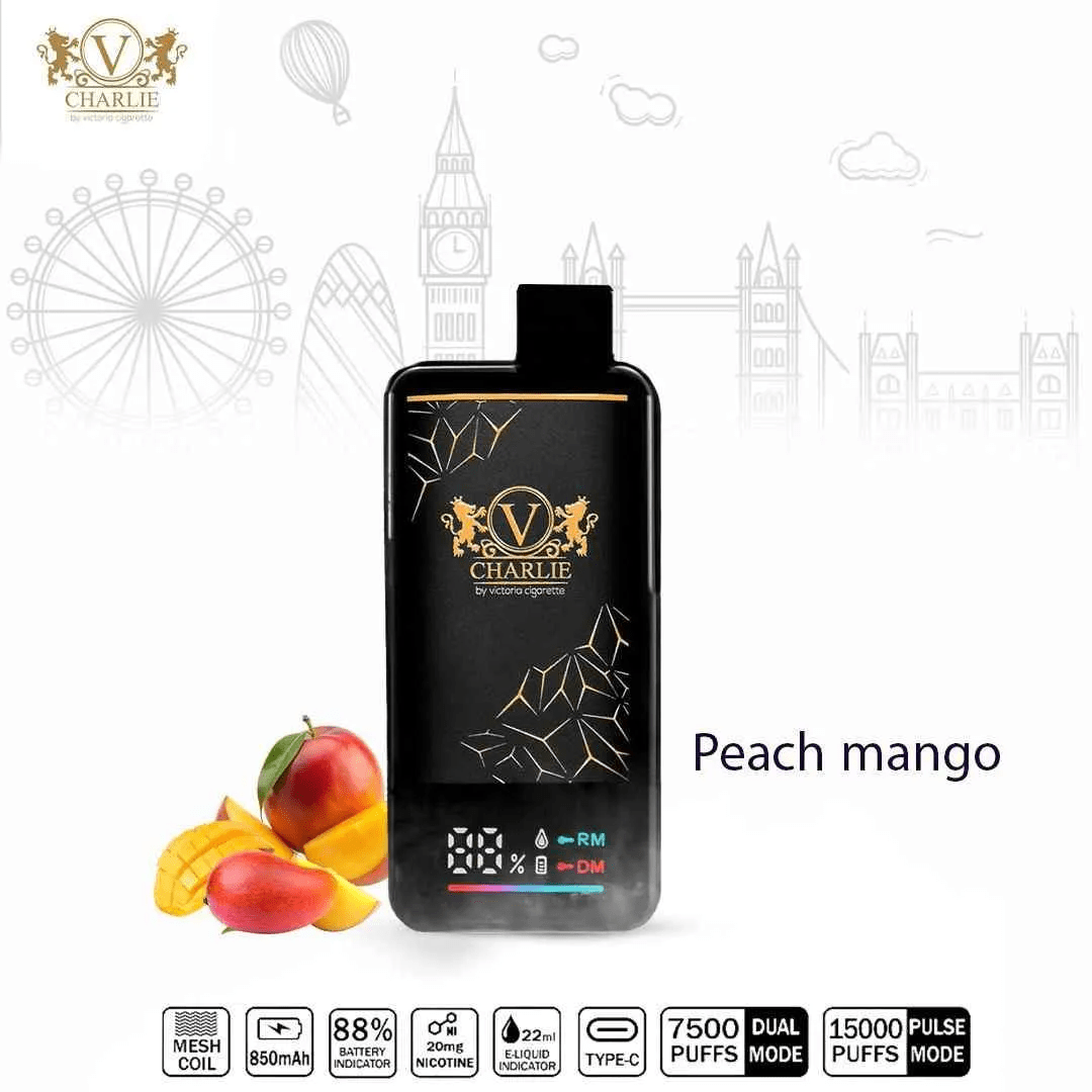 Vicig Charlie 15,000 Puffs Disposable Pod – High - Nicotine Long - Lasting Vape - We Vape