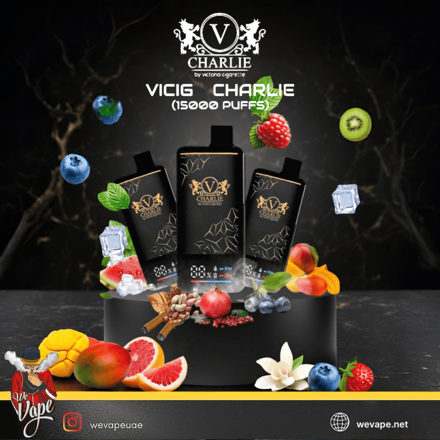 Vicig Charlie 15,000 Puffs Disposable Pod – High - Nicotine Long - Lasting Vape - We Vape