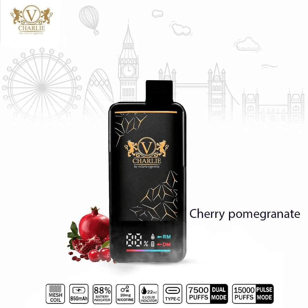 Vicig Charlie 15,000 Puffs Disposable Pod – High - Nicotine Long - Lasting Vape - We Vape