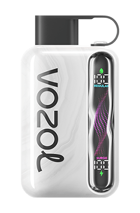 VOZOL STAR 40000 Disposable Vape Pod – 40K Puffs, Dual Mode, Smart Display, USB - C Rechargeable - We Vape