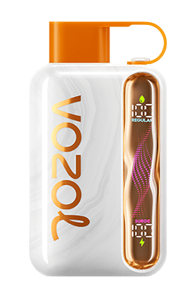 VOZOL STAR 40000 Disposable Vape Pod – 40K Puffs, Dual Mode, Smart Display, USB - C Rechargeable - We Vape