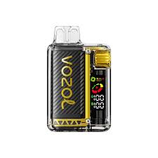 Vozol Vista 20000 Puffs - Disposable Vape Pod - We Vape