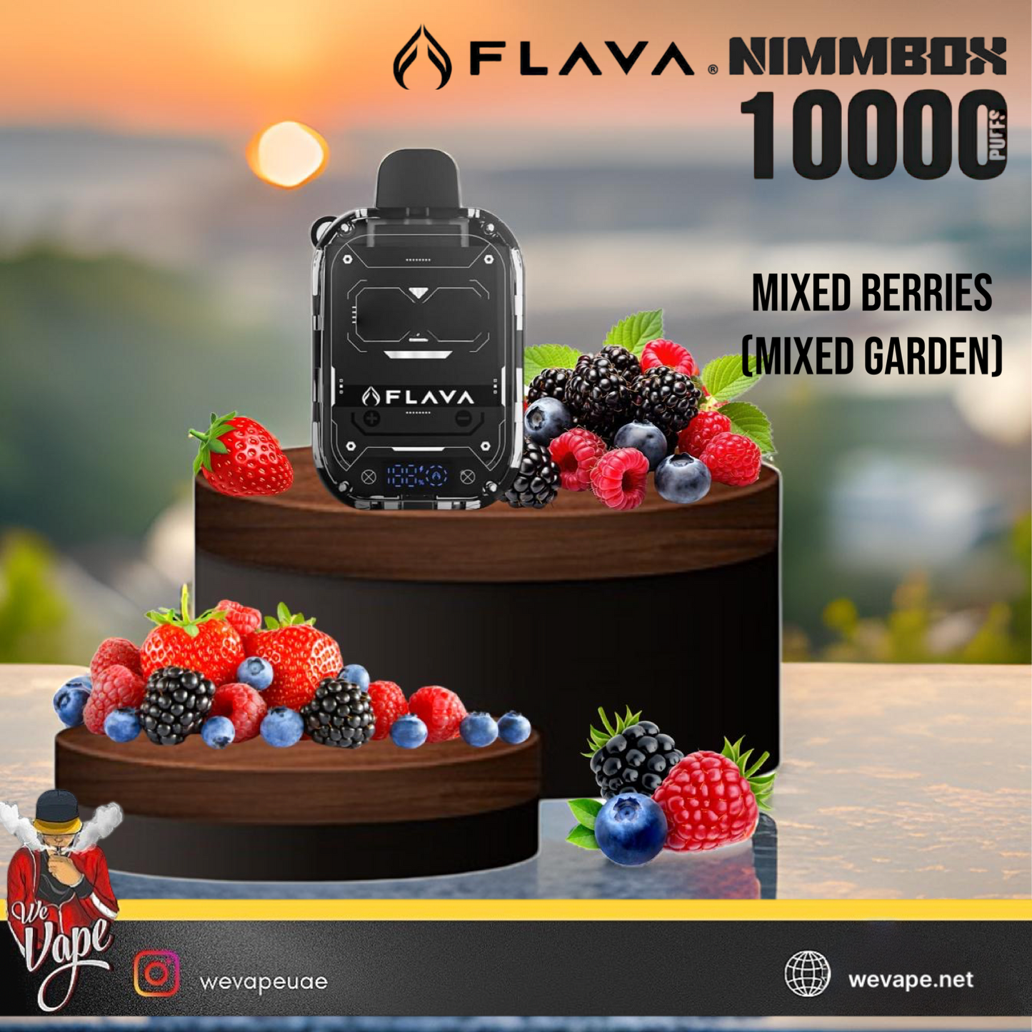 Flava Nimmbox - Disposable Pods 10000 Puffs