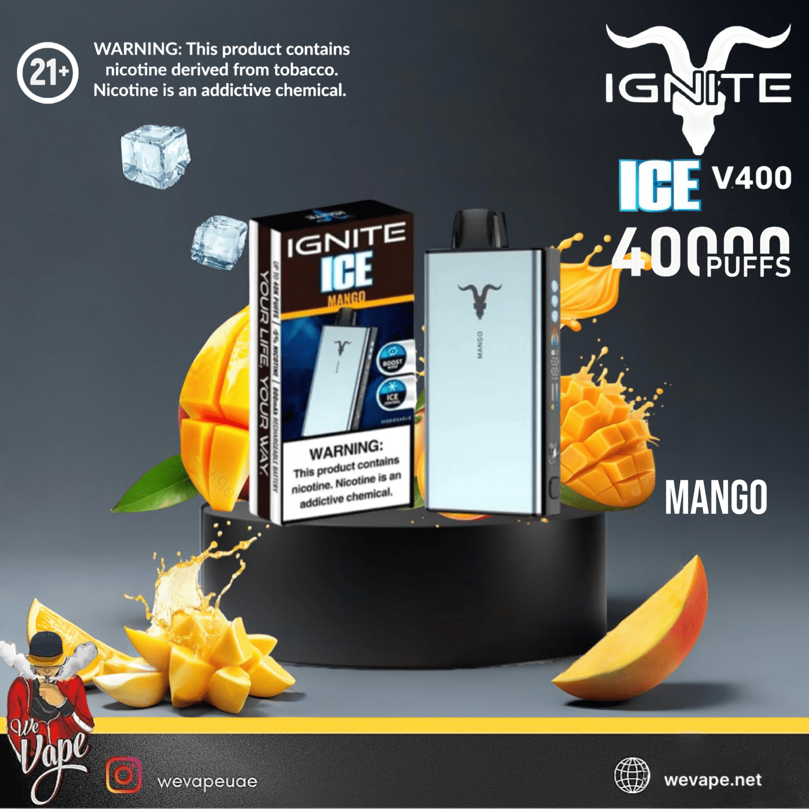 IGNITE ICE 40K Disposable Vape Kit – 40,000 Puffs 50MG - We Vape