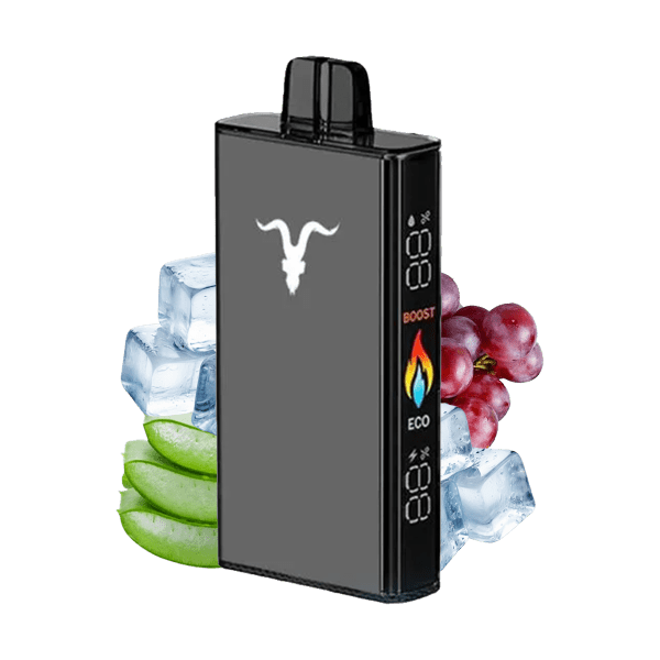 IGNITE V250 – 25,000 Puffs Disposable Vape | Ultra - High Capacity Mesh Coil Pod - We Vape
