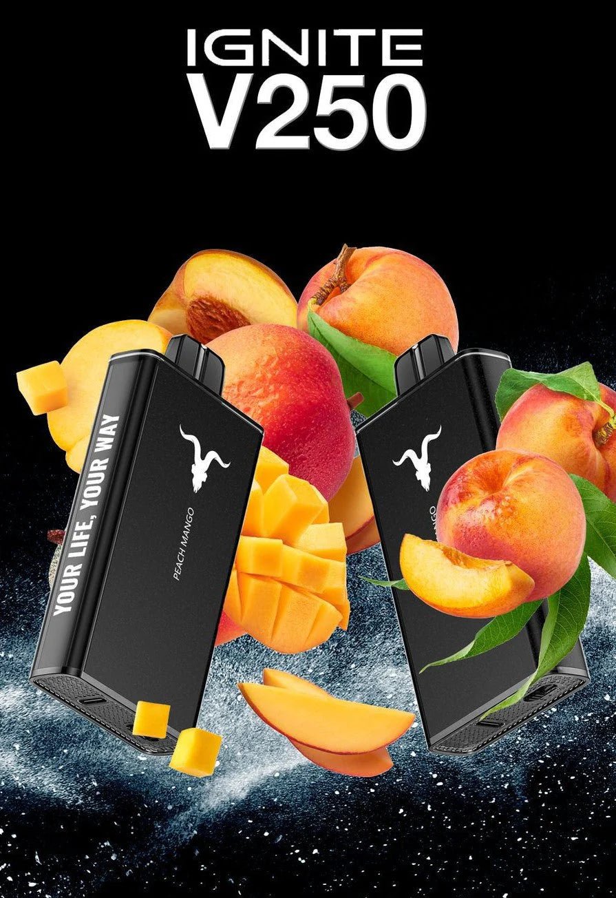 IGNITE V250 – 25,000 Puffs Disposable Vape | Ultra - High Capacity Mesh Coil Pod - We Vape