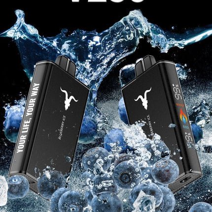 IGNITE V250 – 25,000 Puffs Disposable Vape | Ultra - High Capacity Mesh Coil Pod - We Vape