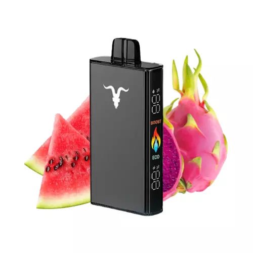 IGNITE V250 – 25,000 Puffs Disposable Vape | Ultra - High Capacity Mesh Coil Pod - We Vape