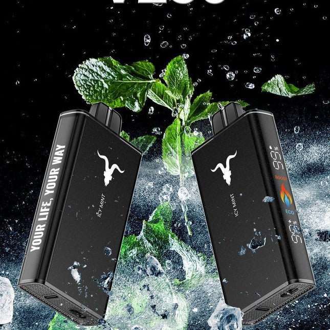 IGNITE V250 – 25,000 Puffs Disposable Vape | Ultra - High Capacity Mesh Coil Pod - We Vape