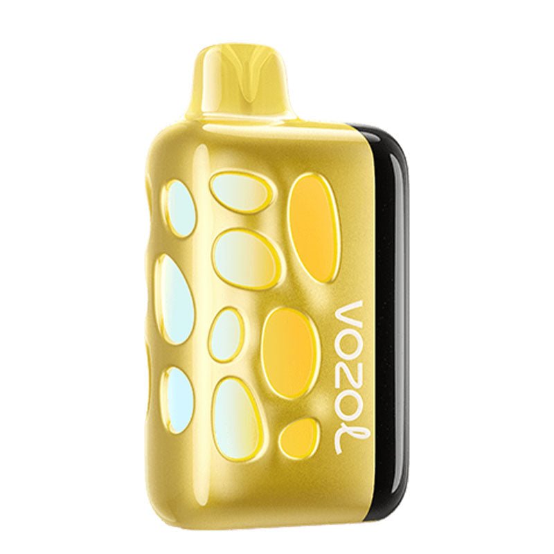 VOZOL Rage 40,000 Puffs – Rechargeable Disposable Vape Pod - We Vape