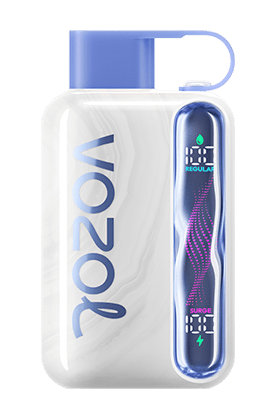 VOZOL STAR 40000 Disposable Vape Pod – 40K Puffs, Dual Mode, Smart Display, USB - C Rechargeable - We Vape